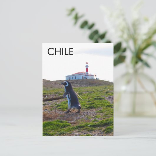 Patagonia Chili Penguin - Verticaal Briefkaart (Staand voorkant)
