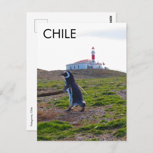 Patagonia Chili Penguin - Verticaal Briefkaart (Voorkant / Achterkant)