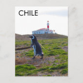 Patagonia Chili Penguin - Verticaal Briefkaart (Voorkant)