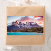 Patagonia Etiket (Insitu)