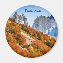 Patagonia Magneet
