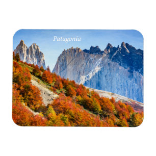 Patagonia Magneet