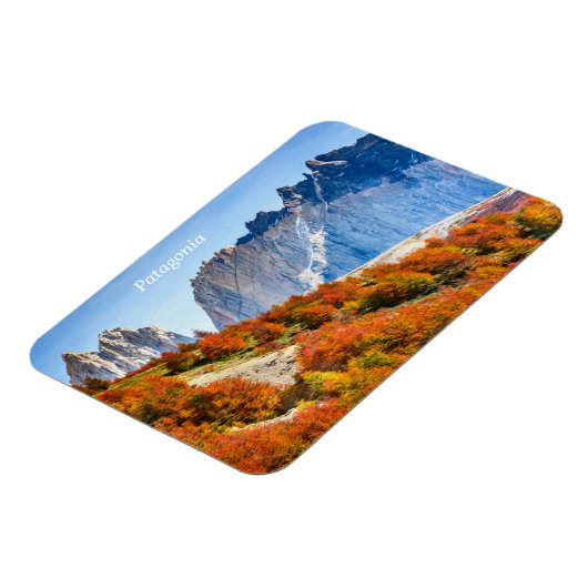 Patagonia Magneet (Linkerzijde)