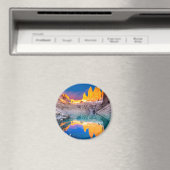 Patagonia Magneet (Insitu (Vaatwasser))