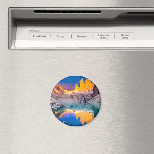 Patagonia Magneet (Insitu (Vaatwasser))