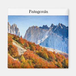 Patagonia Magneet
