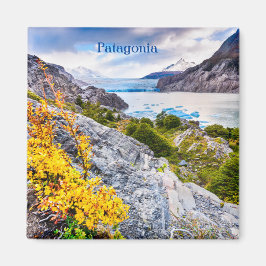 Patagonia Magneet