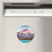 Patagonia Magneet (Insitu (Vaatwasser))