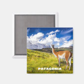 Patagonia Magnet (Voorkant / Achterkant)