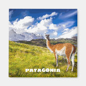 Patagonia Magnet (Voorkant)