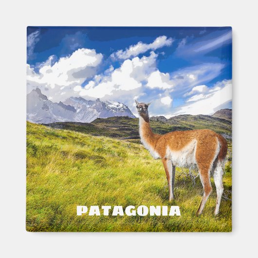 Patagonia Magnet (Voorkant)
