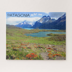 patagonia-meerbloemen legpuzzel