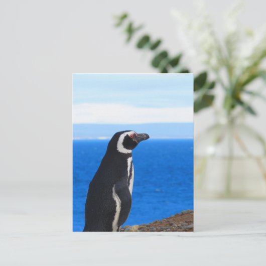 Patagonia Penguin Briefkaart (Staand voorkant)