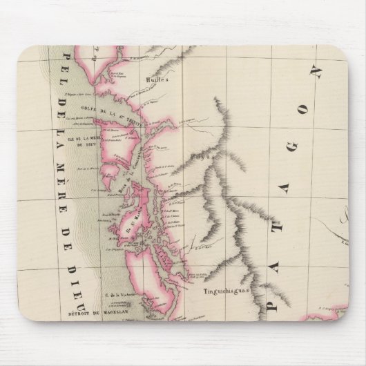 Patagonia, Zuid-Amerika 40 Muismat (Voorkant)