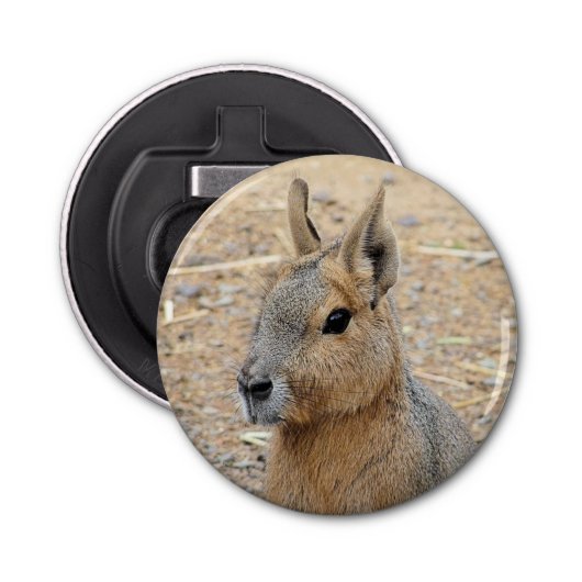 PATAGONIAN MARA BUTTON FLESOPENER (Voorkant)