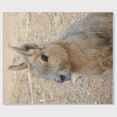 PATAGONIAN MARA CADEAUPAPIER (Vlak)