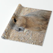 PATAGONIAN MARA CADEAUPAPIER (Uitgerold)