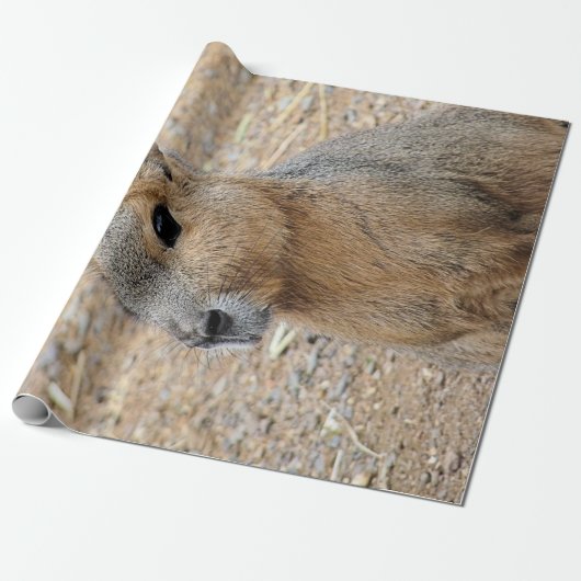 PATAGONIAN MARA CADEAUPAPIER (Uitgerold)