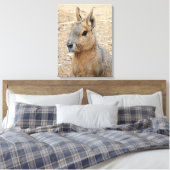 PATAGONIAN MARA CANVAS AFDRUK (Insitu (Slaapkamer))