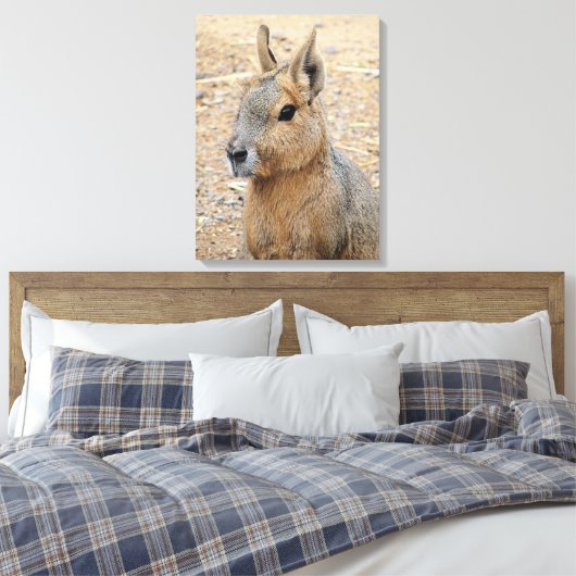 PATAGONIAN MARA CANVAS AFDRUK (Insitu (Slaapkamer))