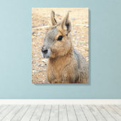 PATAGONIAN MARA CANVAS AFDRUK (Insitu (Houten vloer))