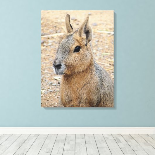 PATAGONIAN MARA CANVAS AFDRUK (Insitu (Houten vloer))