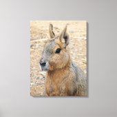 PATAGONIAN MARA CANVAS AFDRUK (Voorkant)