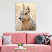 PATAGONIAN MARA CANVAS AFDRUK (Insitu (Woonkamer))