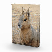 PATAGONIAN MARA FOTOBLOKKEN (Rechts)