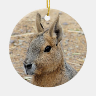 PATAGONIAN MARA KERAMISCH ORNAMENT