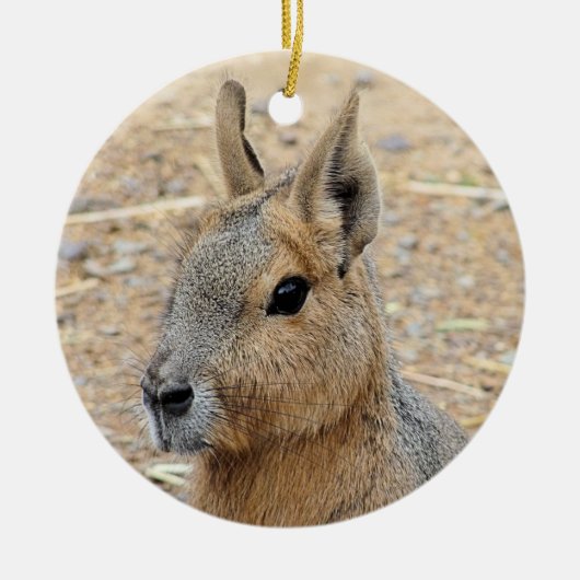 PATAGONIAN MARA KERAMISCH ORNAMENT (Voorkant)