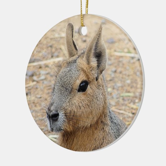 PATAGONIAN MARA KERAMISCH ORNAMENT (Links)