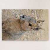 PATAGONIAN MARA LEGPUZZEL (Horizontaal)