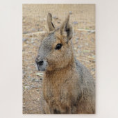 PATAGONIAN MARA LEGPUZZEL (Verticaal)