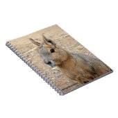 PATAGONIAN MARA NOTITIEBOEK (Rechterzijde)