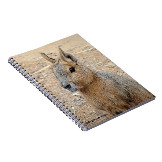 PATAGONIAN MARA NOTITIEBOEK (Rechterzijde)