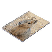 PATAGONIAN MARA NOTITIEBOEK (Linkerzijde)