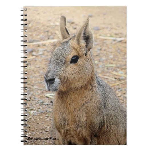 PATAGONIAN MARA NOTITIEBOEK (Voorkant)