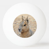 PATAGONIAN MARA PINGPONGBAL (Voorkant)