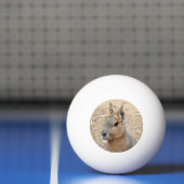 PATAGONIAN MARA PINGPONGBAL (Net)