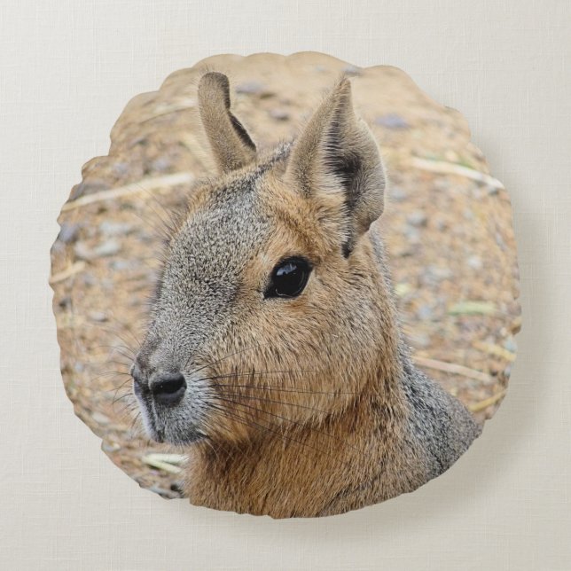 PATAGONIAN MARA ROND KUSSEN (Voorkant)