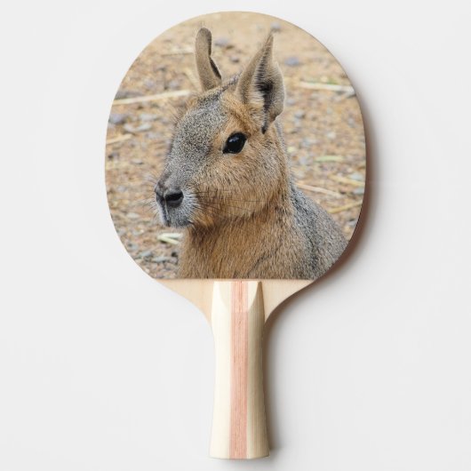 PATAGONIAN MARA TAFELTENNISBATJE (Voorkant)