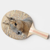 PATAGONIAN MARA TAFELTENNISBATJE (Zijkant)