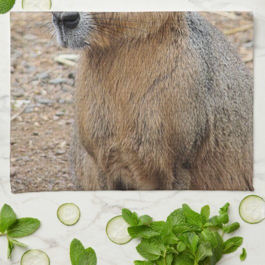 PATAGONIAN MARA THEEDOEK (Gevouwen)