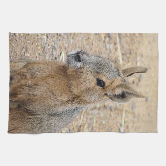 PATAGONIAN MARA THEEDOEK (Horizontaal)
