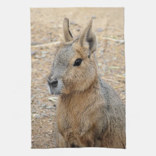 PATAGONIAN MARA THEEDOEK