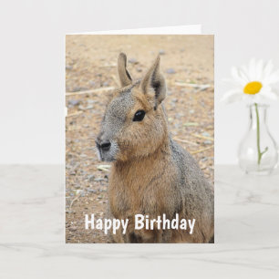 PATAGONIAN MARA WILD DIIMAL KAART