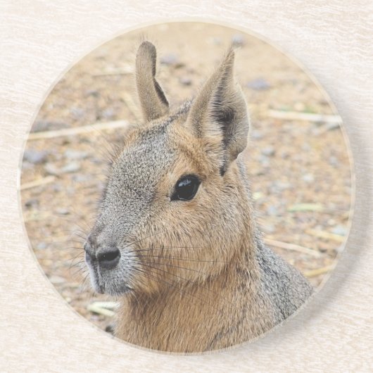 PATAGONIAN MARA ZANDSTEEN ONDERZETTER (Voorkant)
