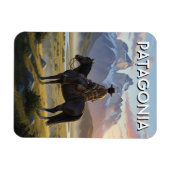 Patagonië Chili Magneet (Horizontaal)