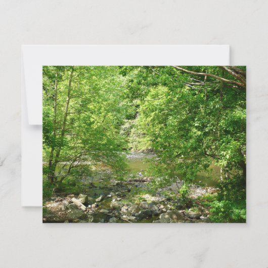 Patapsco River View Maryland Natuurfotografie (Voorkant)